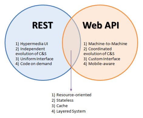 Web API vs REST API